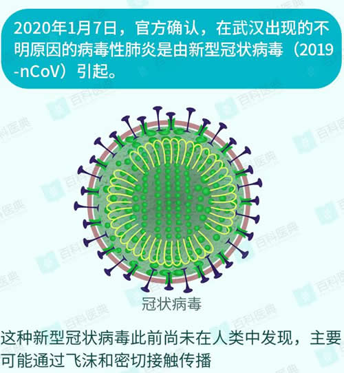 1282.jpg 什么是新型冠狀病毒？如何才能預防？ 資料 第1張